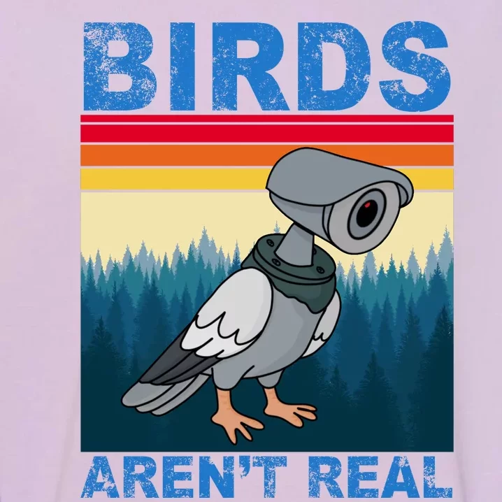 Birds Aren't Real Camera Sunset Garment-Dyed Sweatshirt