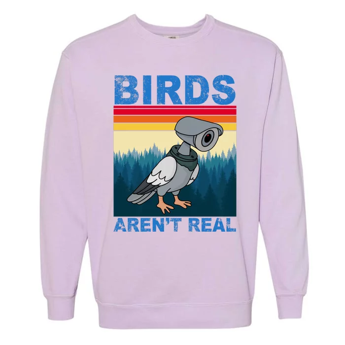 Birds Aren't Real Camera Sunset Garment-Dyed Sweatshirt