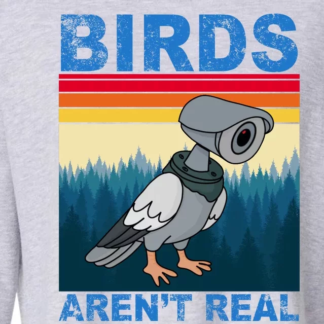 Birds Aren't Real Camera Sunset Cropped Pullover Crew