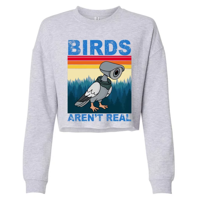 Birds Aren't Real Camera Sunset Cropped Pullover Crew