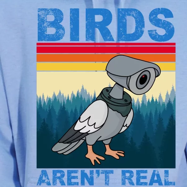 Birds Aren't Real Camera Sunset Unisex Surf Hoodie