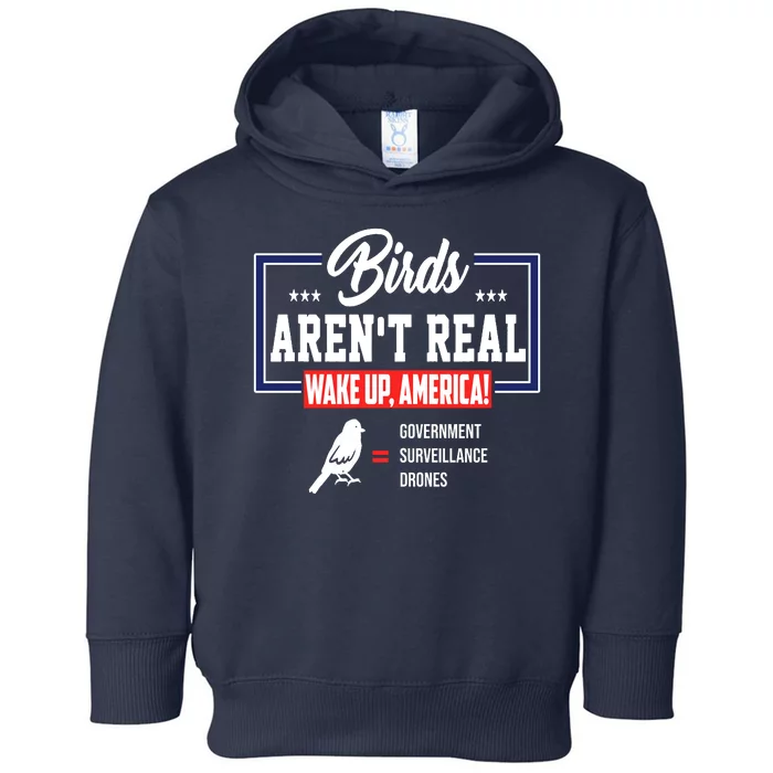 Birds Aren't Real Wake Up America Toddler Hoodie