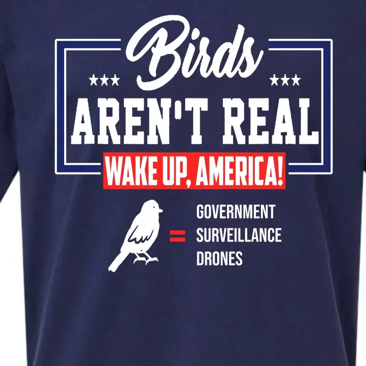 Birds Aren't Real Wake Up America Sueded Cloud Jersey T-Shirt