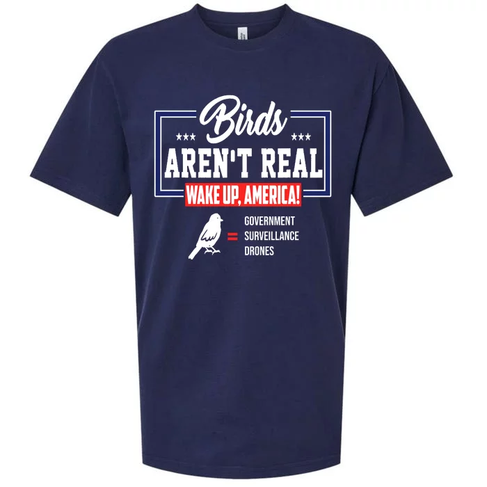 Birds Aren't Real Wake Up America Sueded Cloud Jersey T-Shirt