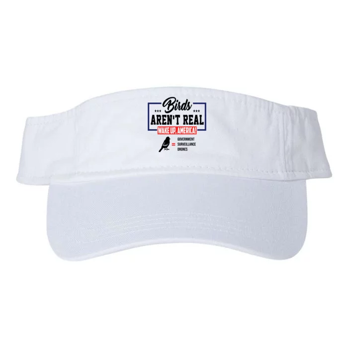 Birds Aren't Real Wake Up America Valucap Bio-Washed Visor