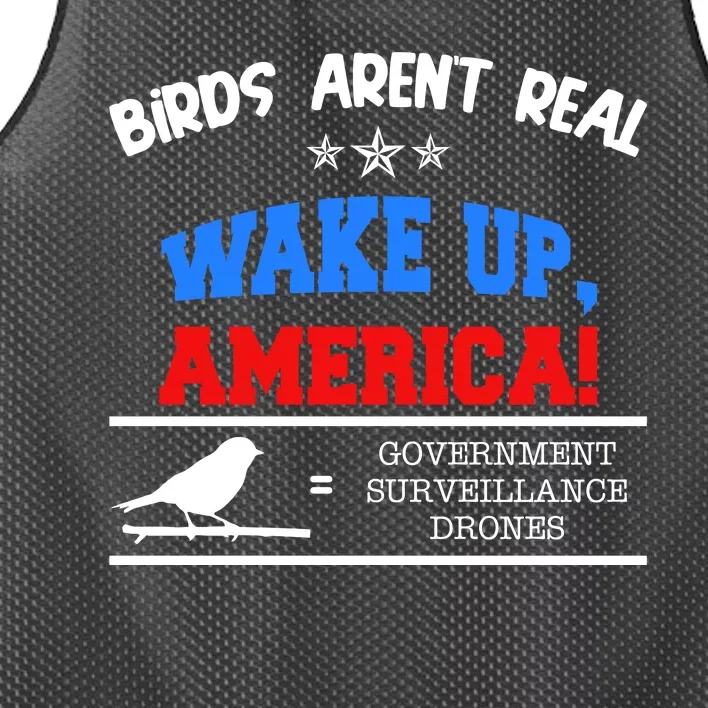 Birds Aren't Real Wake Up America Awareness Mesh Reversible Basketball Jersey Tank