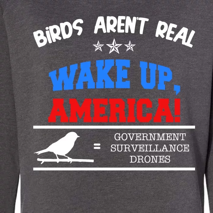 Birds Aren't Real Wake Up America Awareness Womens California Wash Sweatshirt