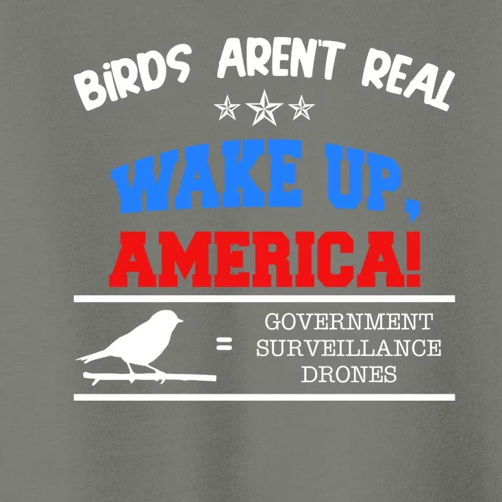 Birds Aren't Real Wake Up America Awareness Toddler T-Shirt