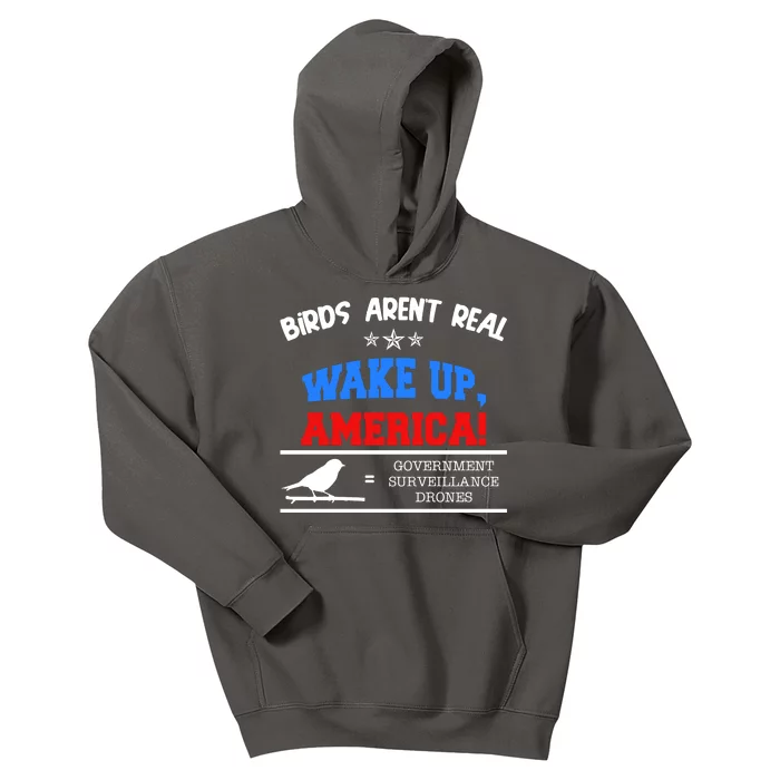 Birds Aren't Real Wake Up America Awareness Kids Hoodie