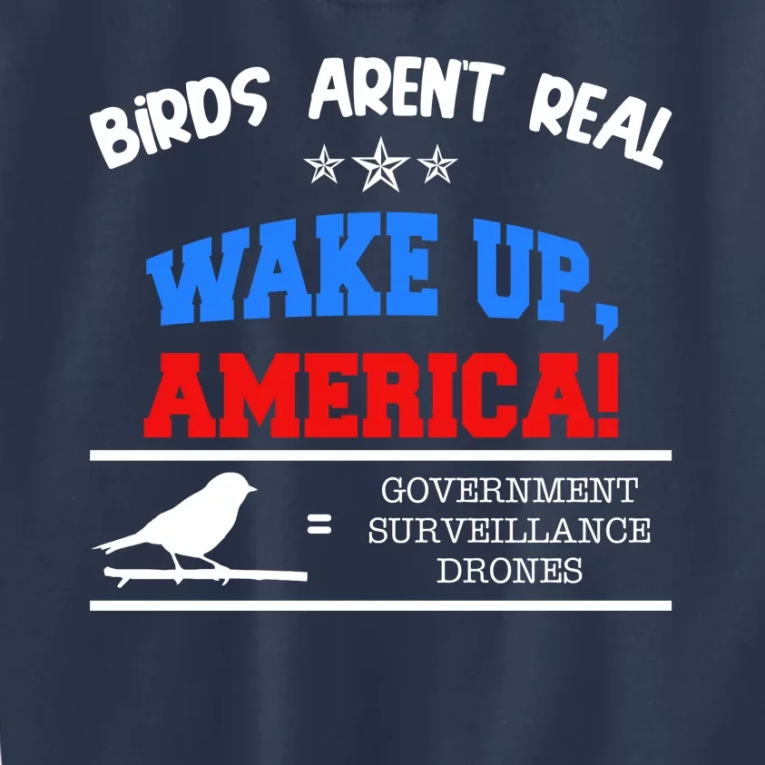 Birds Aren't Real Wake Up America Awareness Kids Sweatshirt