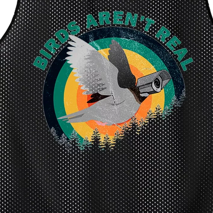 Birds Aren't Real They're Government Camera Mesh Reversible Basketball Jersey Tank