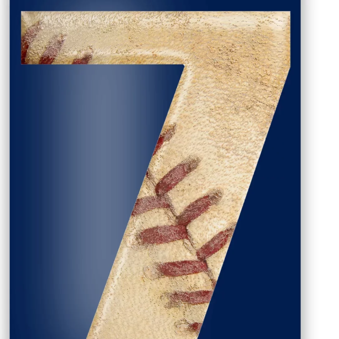 Baseball 7th Birthday Poster