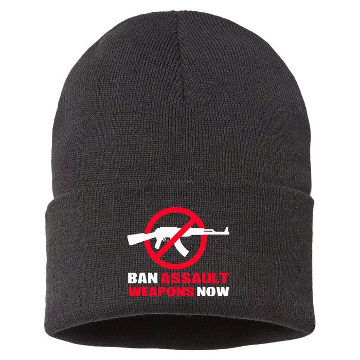 Ban Assault Weapons Now Sustainable Knit Beanie