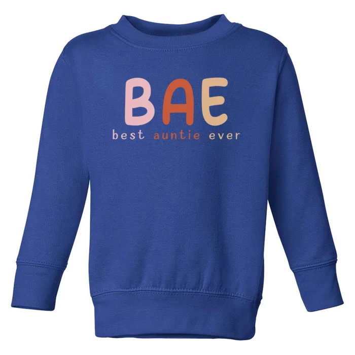 Bae Best Auntie Ever Funny Gift For Aunts And Aunties Meaningful Gift Toddler Sweatshirt