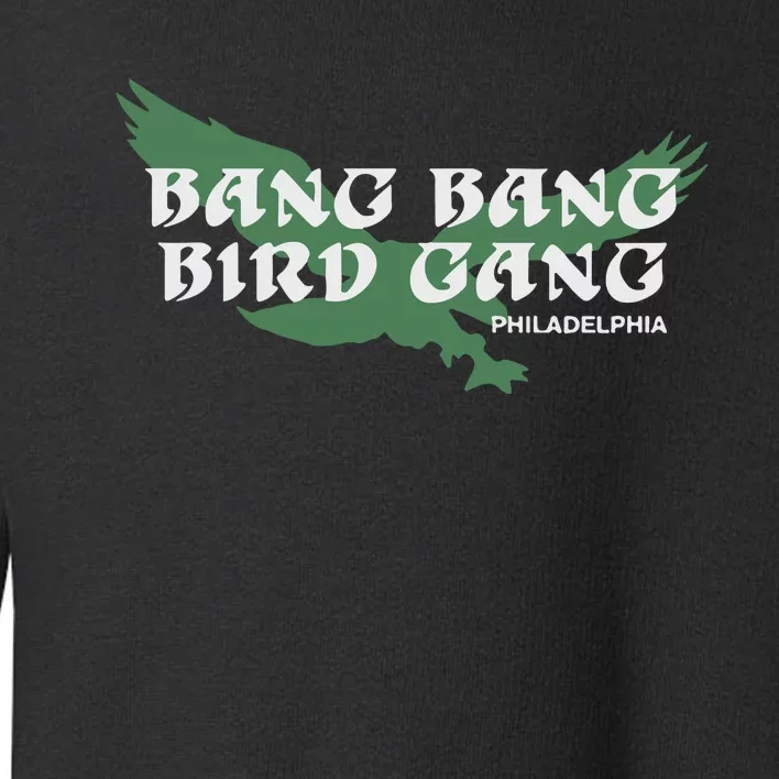 Bang Bang Bird Gang Philadelphia Toddler Sweatshirt