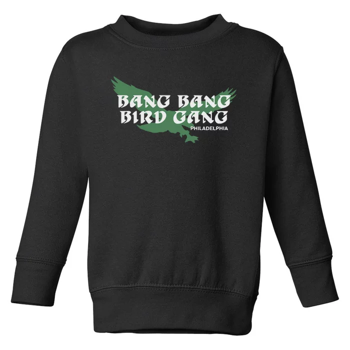 Bang Bang Bird Gang Philadelphia Toddler Sweatshirt