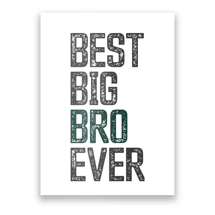 Best Big Brother Bro Ever Funny Big Bro Sibling Big Brother Poster