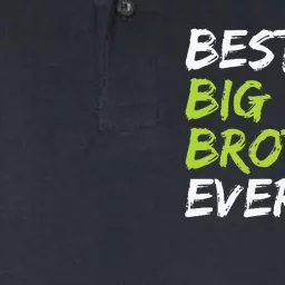 Best Big Brother Ever Softstyle Adult Sport Polo