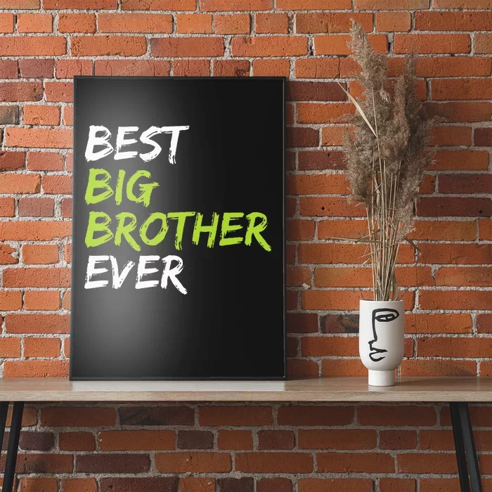 Best Big Brother Ever Poster