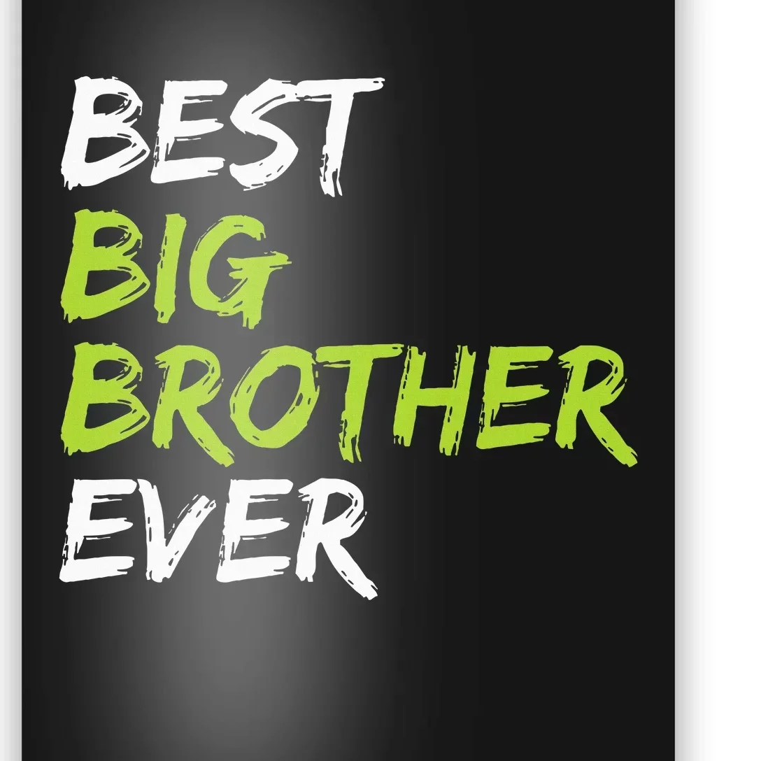 Best Big Brother Ever Poster