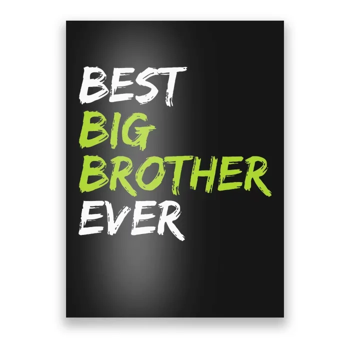 Best Big Brother Ever Poster