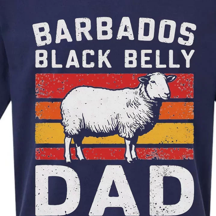 Barbados BlackS Belly Sheeps Vintage Sueded Cloud Jersey T-Shirt