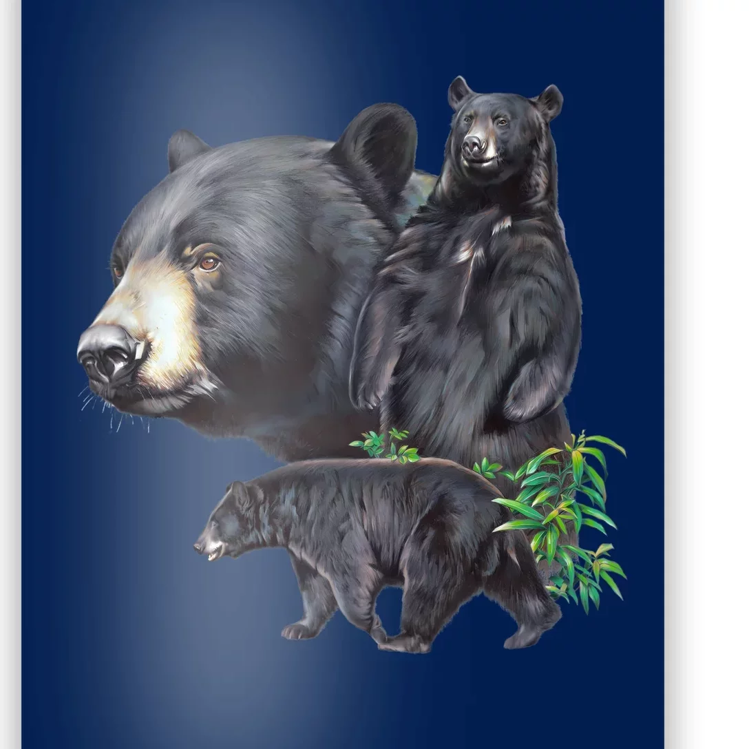 Black Bears Poster