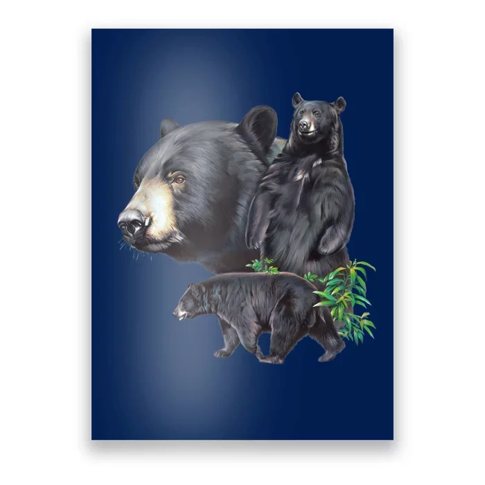 Black Bears Poster