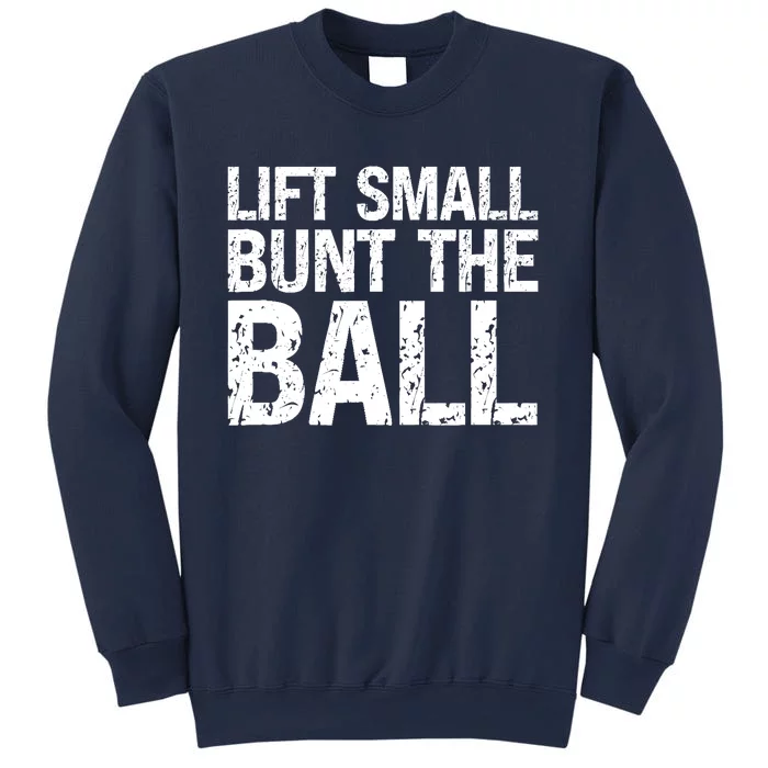 Baseball Batter Batting Strategy Lift Small Bunt The Ball Sweatshirt