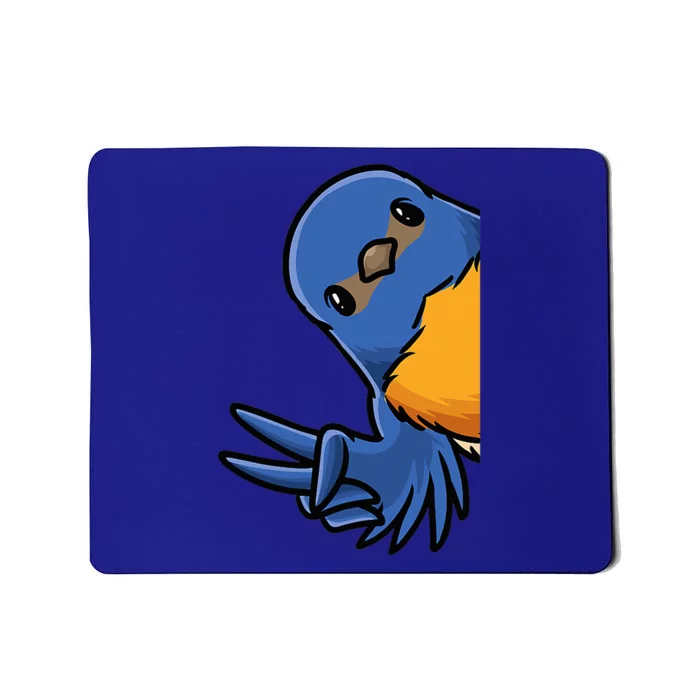 Bluebird Bird Mousepad