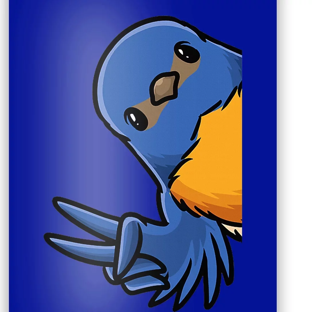 Bluebird Bird Poster