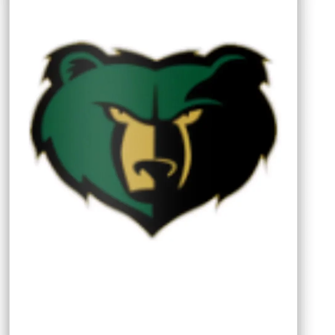 Basha Bears Poster