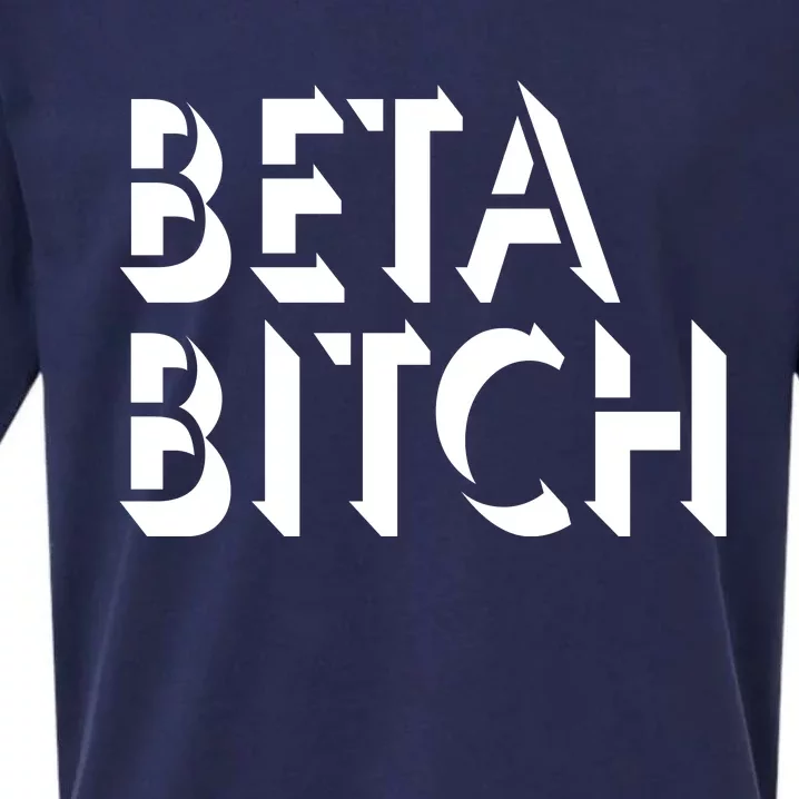 Beta Bitch Sueded Cloud Jersey T-Shirt