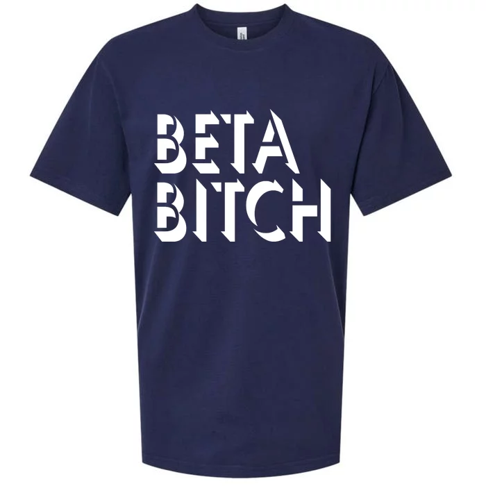 Beta Bitch Sueded Cloud Jersey T-Shirt