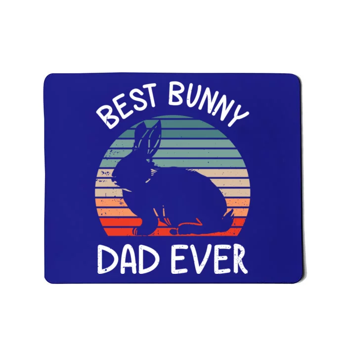 Best Bunny Dad Ever Matching Family Easter Retro Great Gift Mousepad