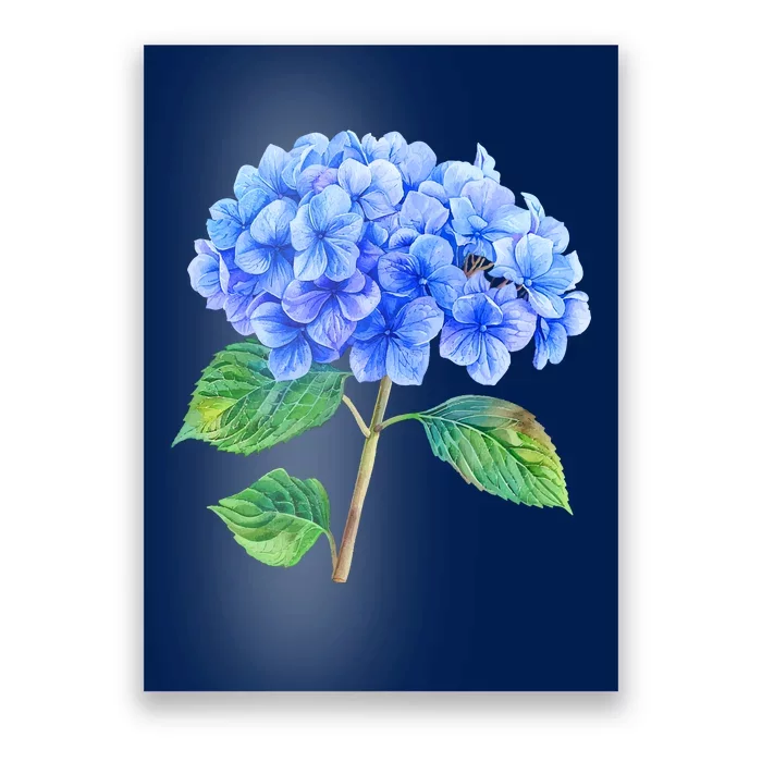 Beautiful Blue Hydrangea Flowers Poster