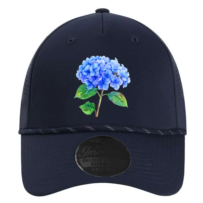 Beautiful Blue Hydrangea Flowers Performance The Dyno Cap