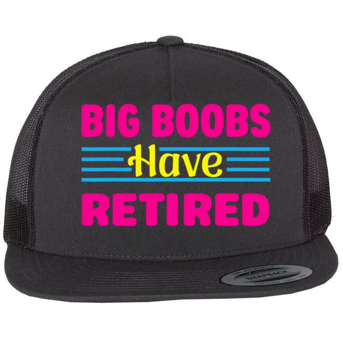 Big Boobs Have Retired Funny Breast Reduction Flat Bill Trucker Hat