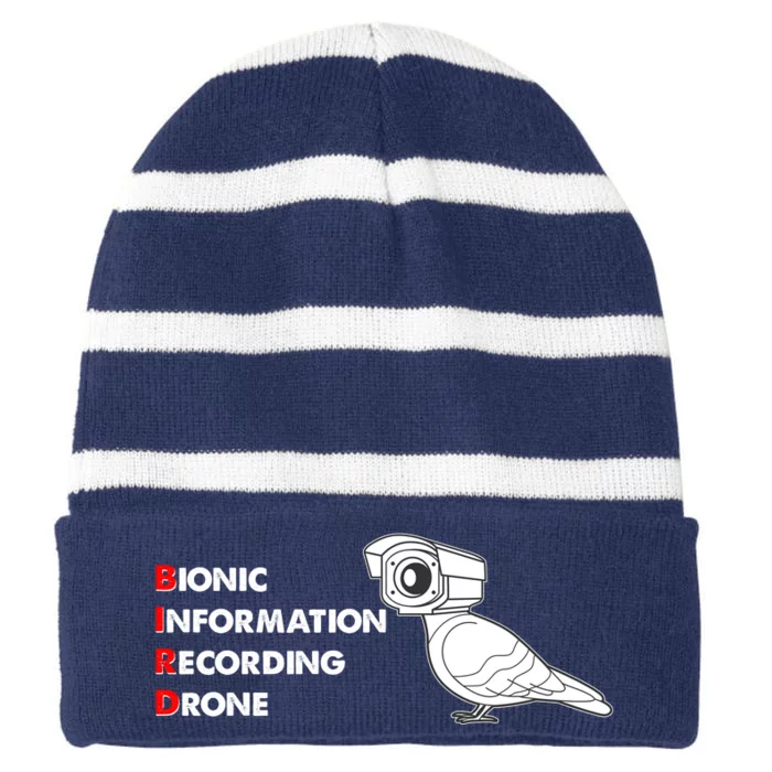 BIRD Bionic Information Recording Drone Striped Beanie with Solid Band