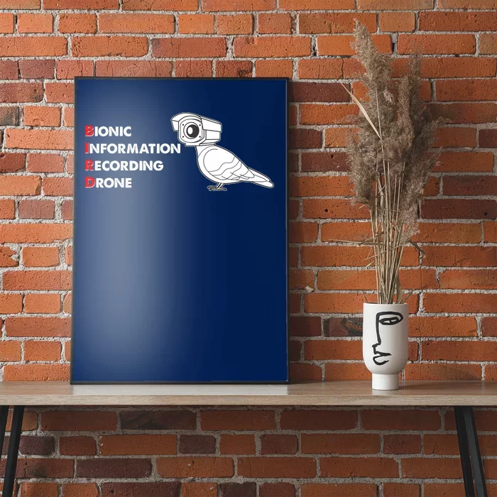 BIRD Bionic Information Recording Drone Poster