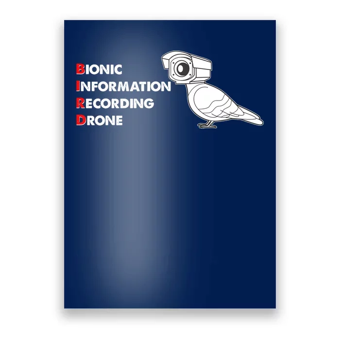 BIRD Bionic Information Recording Drone Poster