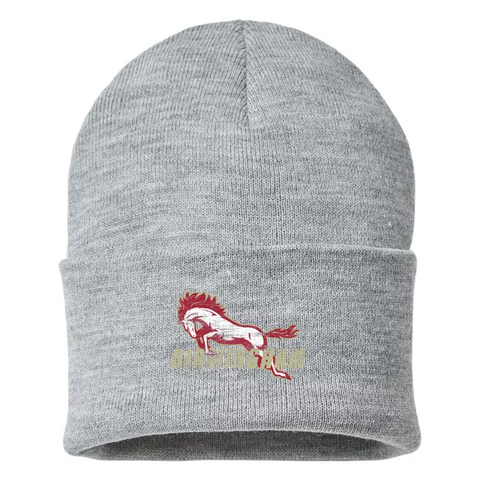 Birmingham Sustainable Knit Beanie