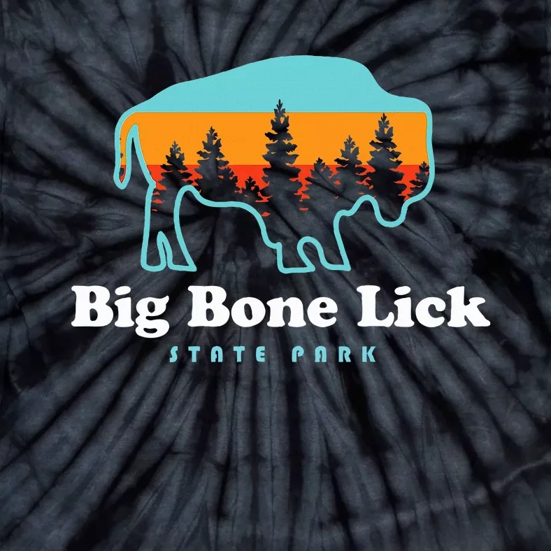 Big Bone Lick State Park Kentucky Bison Fossils Tie-Dye T-Shirt