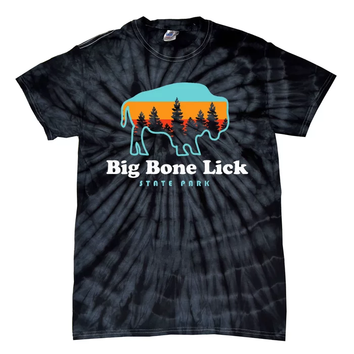 Big Bone Lick State Park Kentucky Bison Fossils Tie-Dye T-Shirt