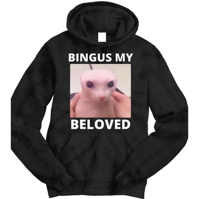 Bald Bingus My Beloved Hairless Sphinx Cat Tie Dye Hoodie