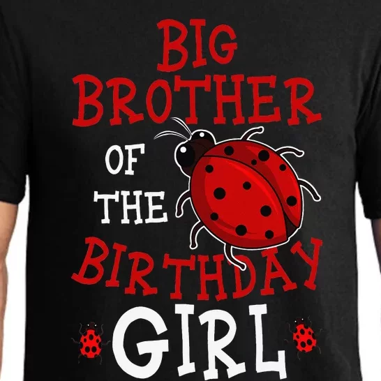 Big Brother Of The Birthday Ladybug Bday Celebration Pajama Set