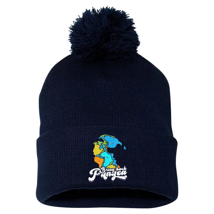 Bring Back Pangea Geologist Pom Pom 12in Knit Beanie