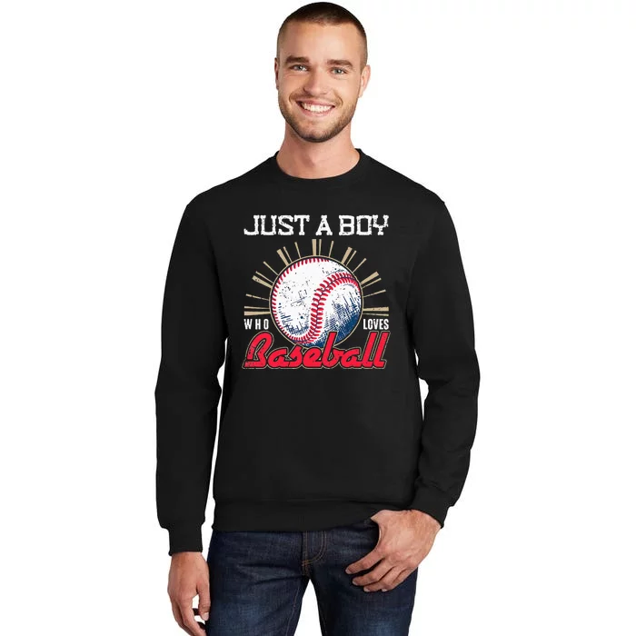 Ball Baseball Player Just A Who Loves Baseball Sweatshirt