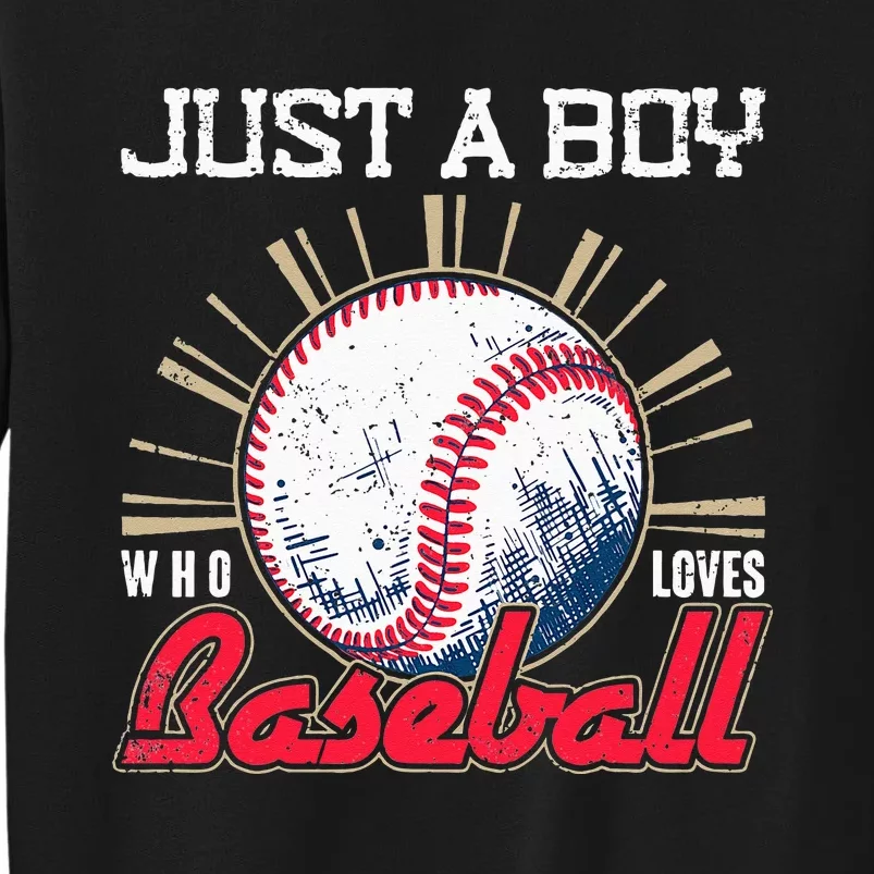 Ball Baseball Player Just A Who Loves Baseball Sweatshirt