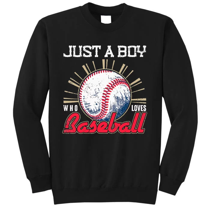 Ball Baseball Player Just A Who Loves Baseball Sweatshirt